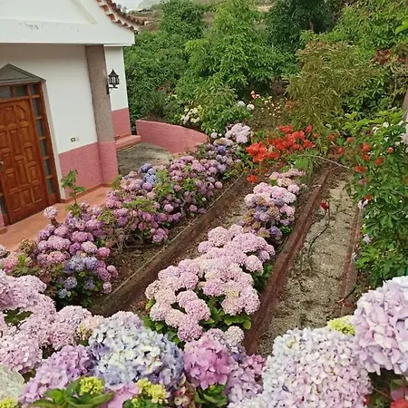 Dom wakacyjny Mar De Flores