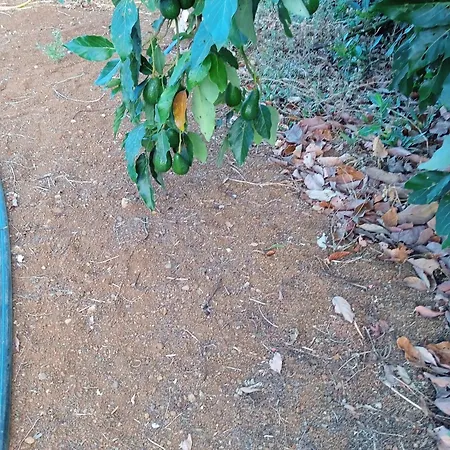 Сasa de vacaciones Mar De Flores *